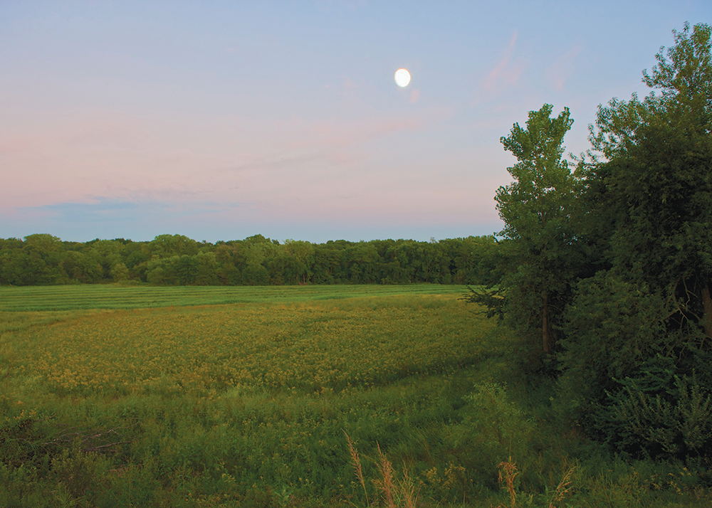 Conservation easement navigation