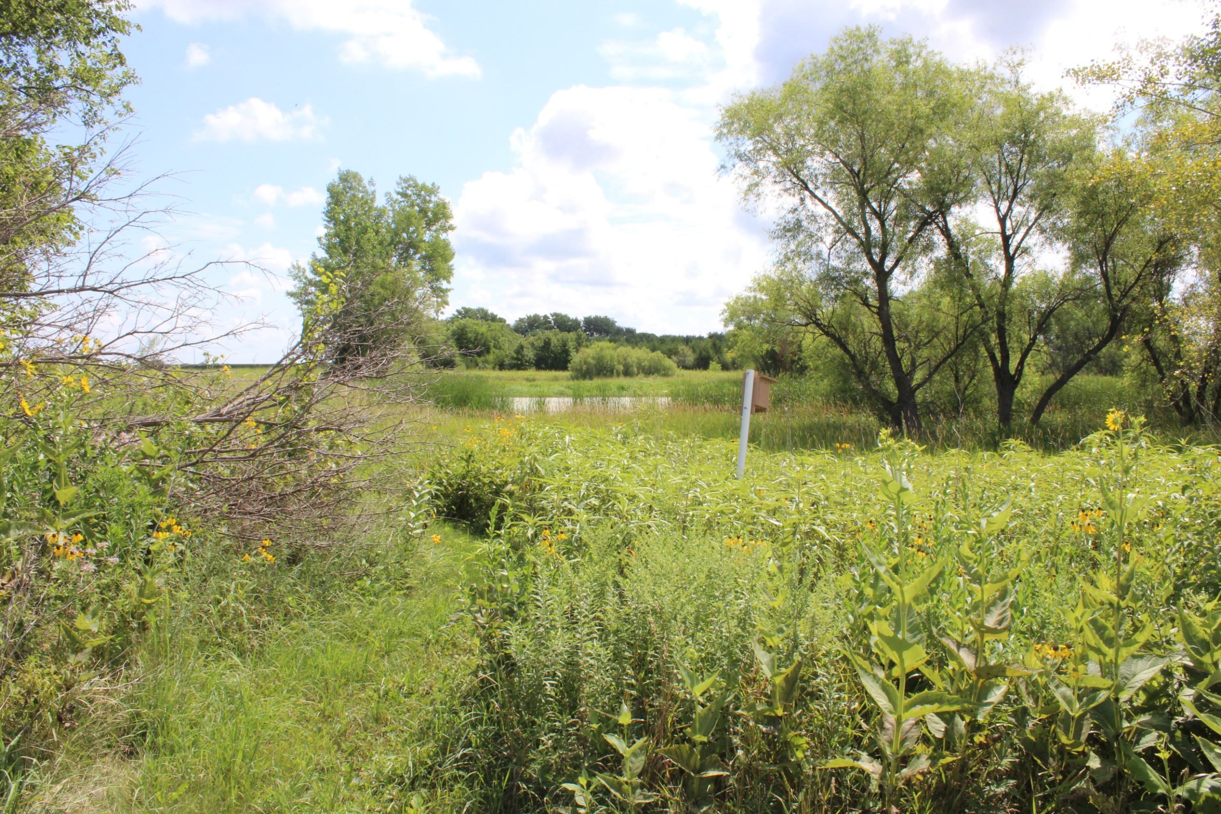 View of Meetz Marsh