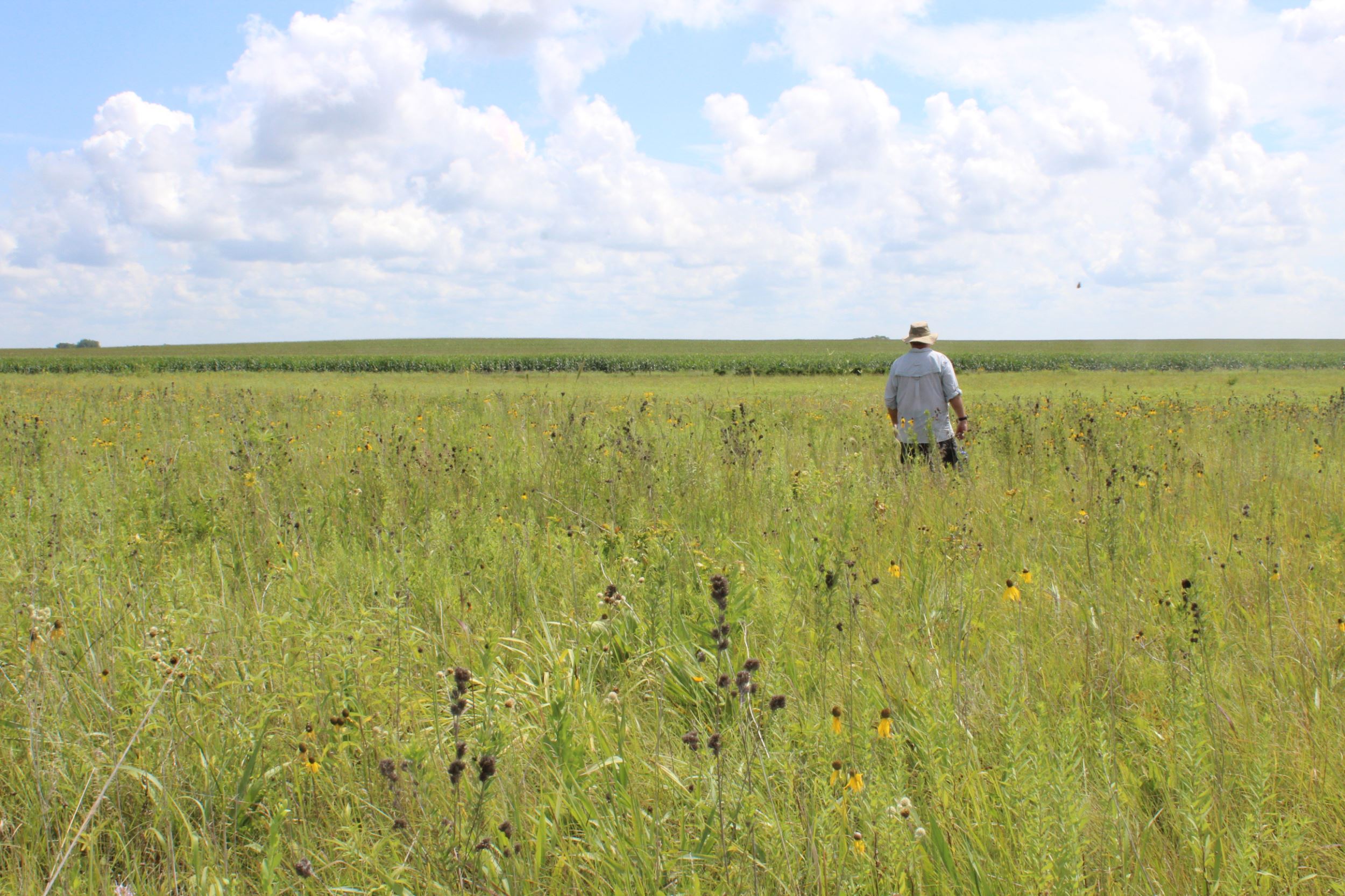 Mike Meetz walking in a prairie. 