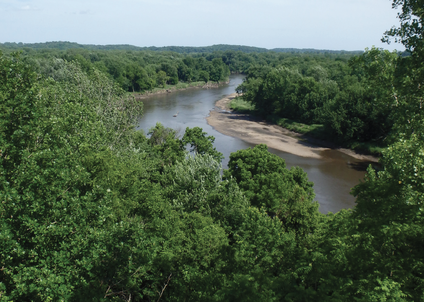 Ferguson Timber overlook