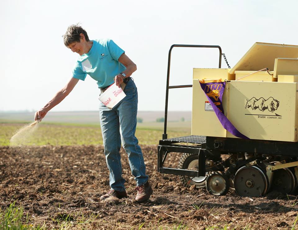 Cathy Irvine sows the first seeds at Irvine Prairie