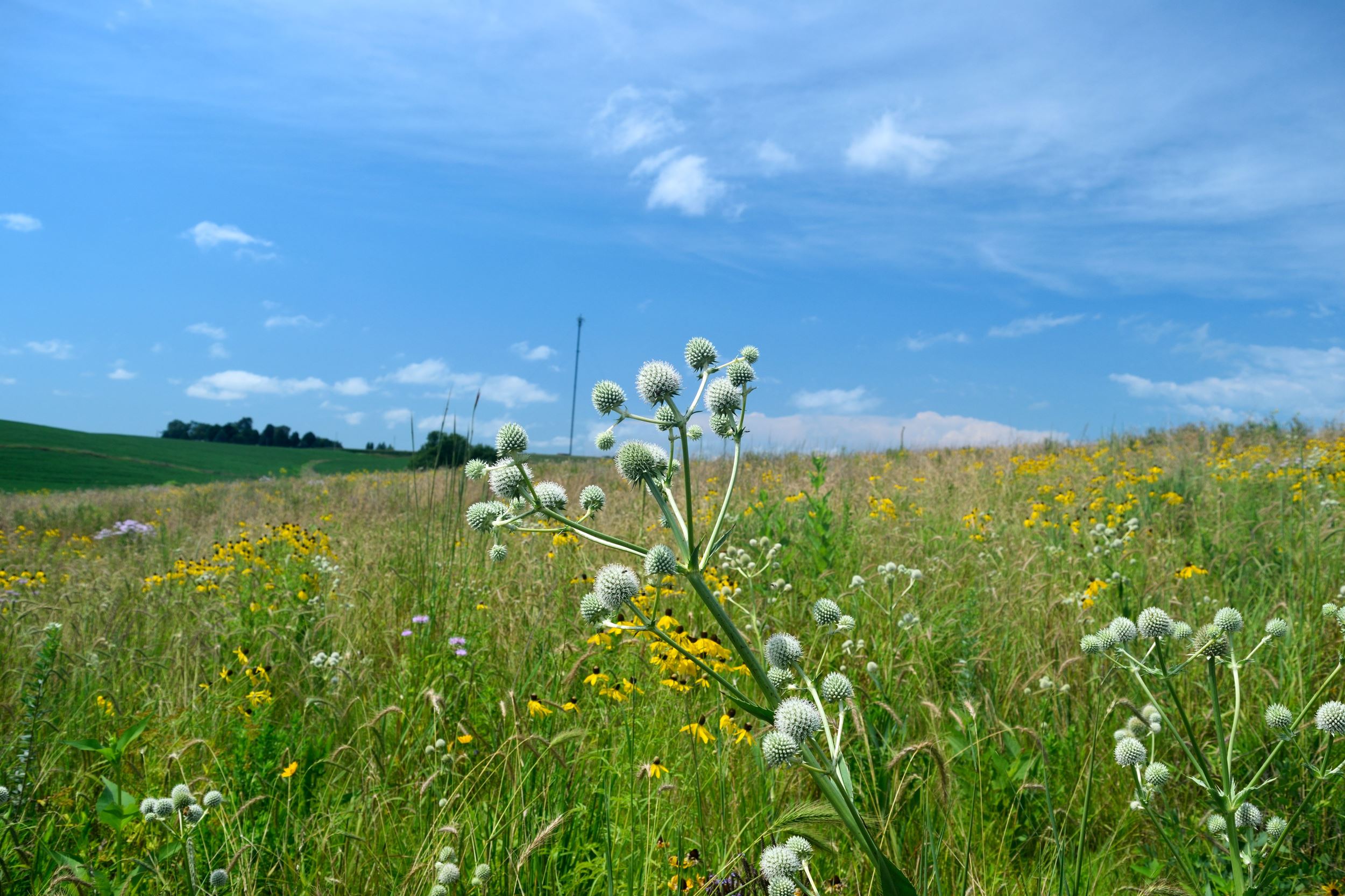 CRP planting on Land Heritage Farm