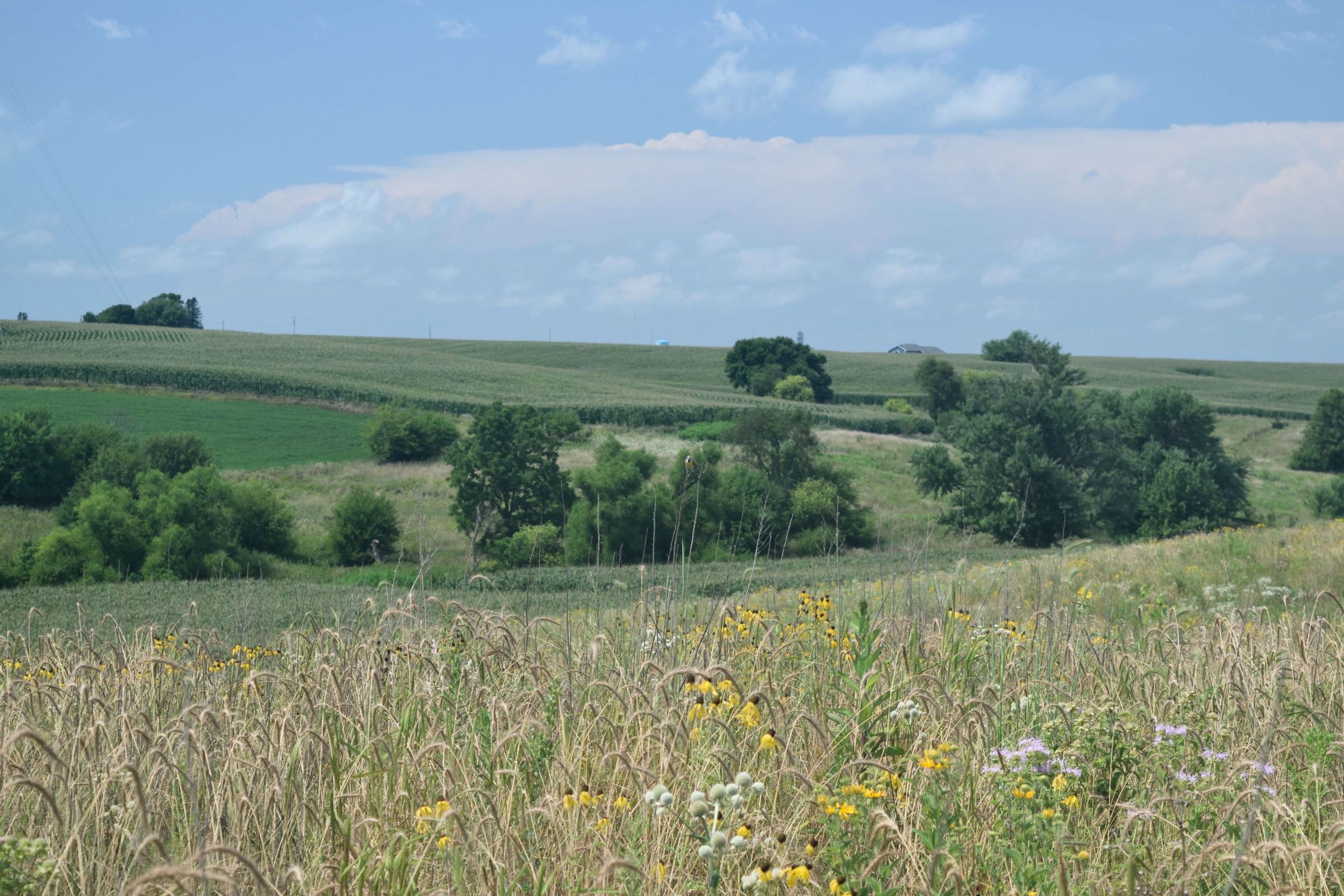 Family farm lives on through INHF